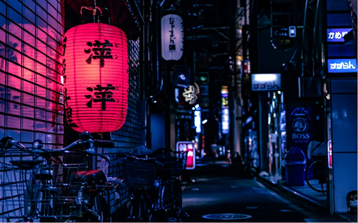 Fushimi Inari torii gates Kyoto photoshoot